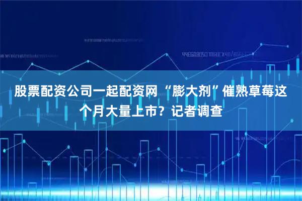 股票配资公司一起配资网 “膨大剂”催熟草莓这个月大量上市？记者调查